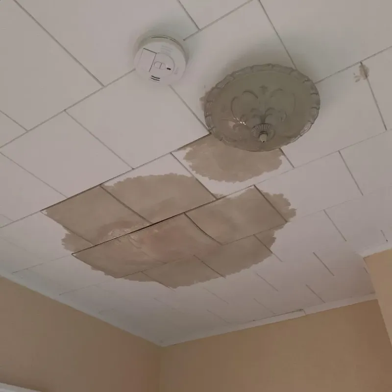 Ceiling Water Damage Repair in Deuel County, NE