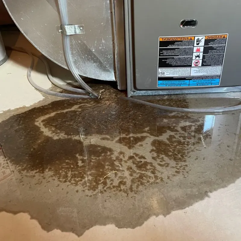 Pipe Burst and Leak Restoration in Deuel County, NE