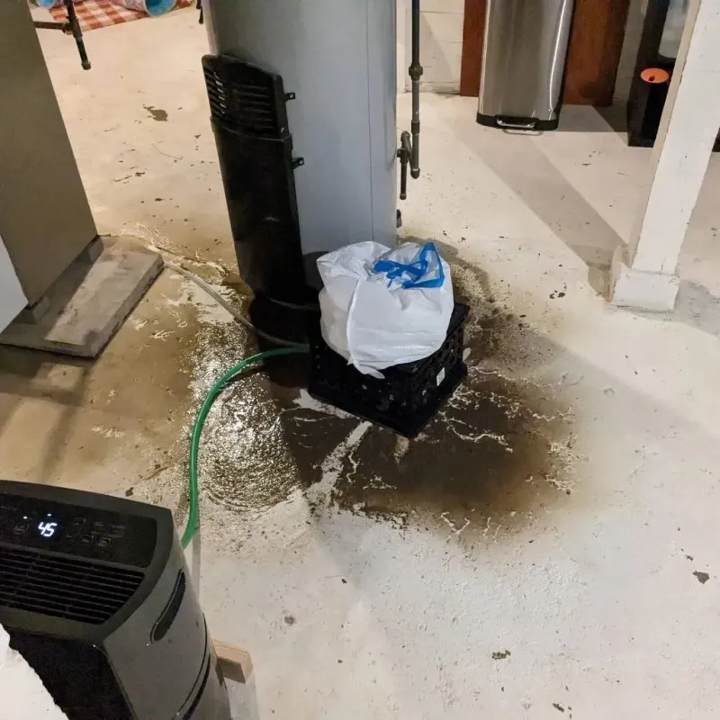 Sewage Backup Cleanup Service in Deuel County, NE